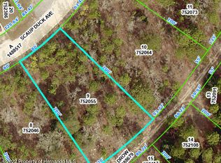 0 Scaup Duck Ave, Brooksville, FL 34614