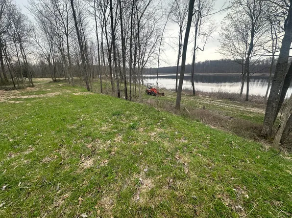 Vl S Norris Rd, Delton, MI 49046