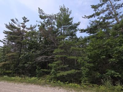 9241 Cedarhurst Dr, Cheboygan, MI, 49721