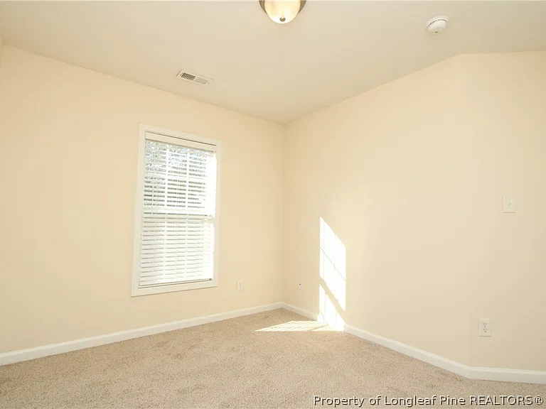 3921 Volkswalk Pl — Photo 30