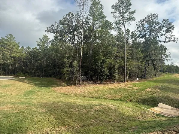 4511 Marfa Ct Lot 21, Montgomery, TX 77316