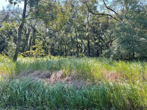 0 Locust Run #45, Ocala, FL 34472