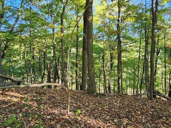 4059 Middle Creek Road, Triadelphia, WV 26059