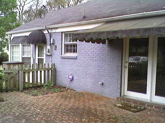 back view