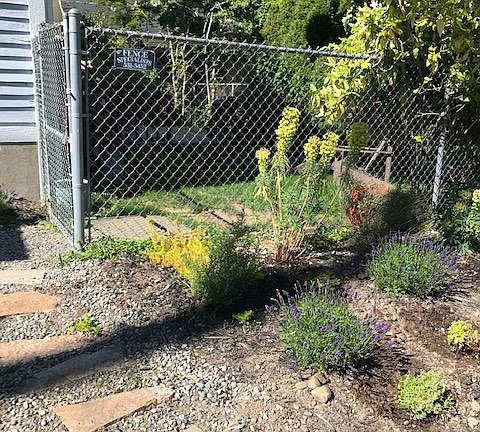 gated side yard for pets!