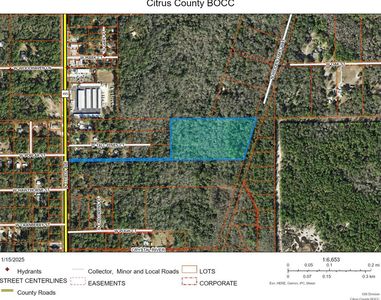 3932 N Hidden Oaks Way, Crystal River, FL, 34428