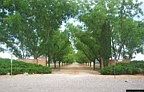 Genteman Pecan and Fruit farm