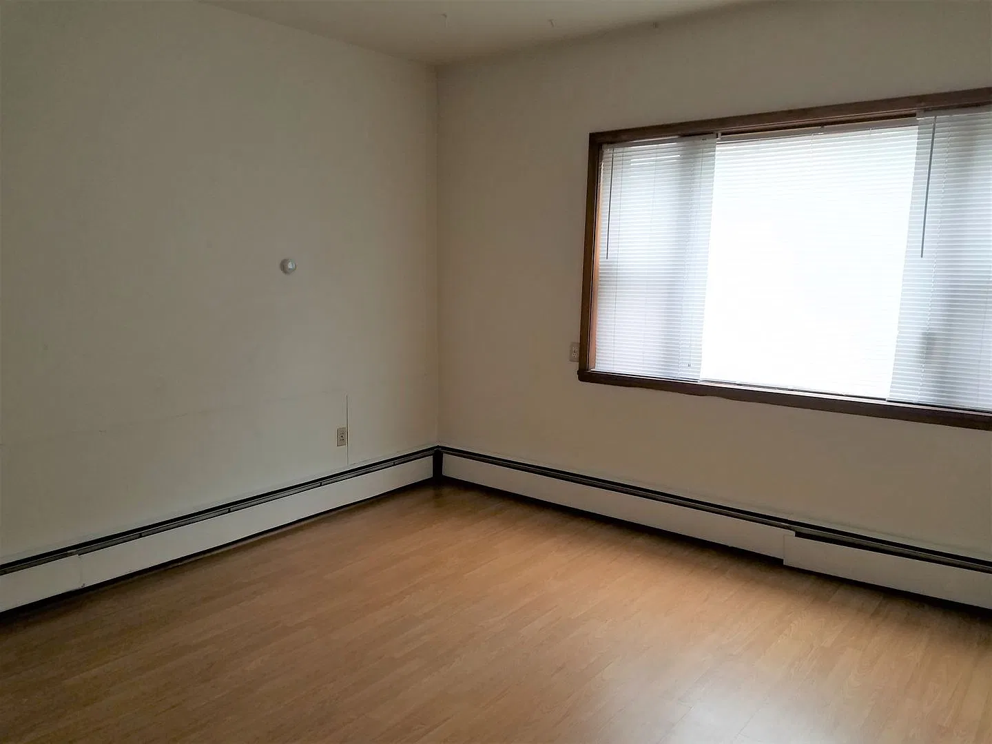 pin00 — Photo 3