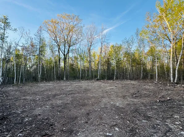 LOT 195 Kauffman Rd, Presque Isle, MI 49777