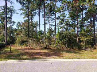 34 Pigeon Forge Ct, Murrells Inlet, SC 29576