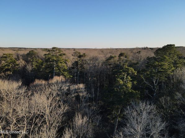 63 Clem Rd, Mount Olive, MS 39119