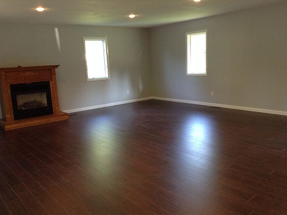 Living room and fireplace