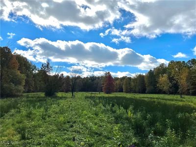 Parsons Rd, Grafton, OH, 44044