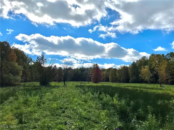 Parsons Rd, Grafton, OH 44044