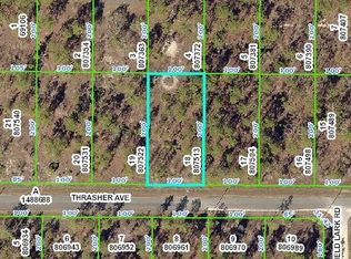 13055 Thrasher Ave, Weeki Wachee, FL 34614