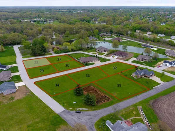 965 Alicia Way, Staunton, IL 62088