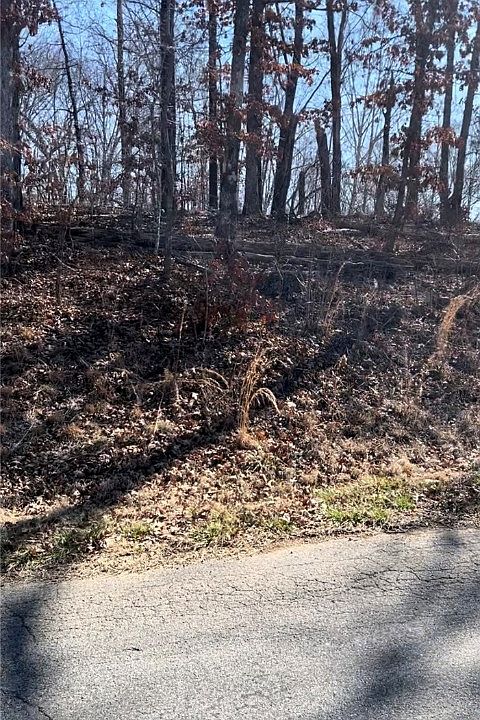 2nd image of L9-B5 S Cheshnut Dr #9