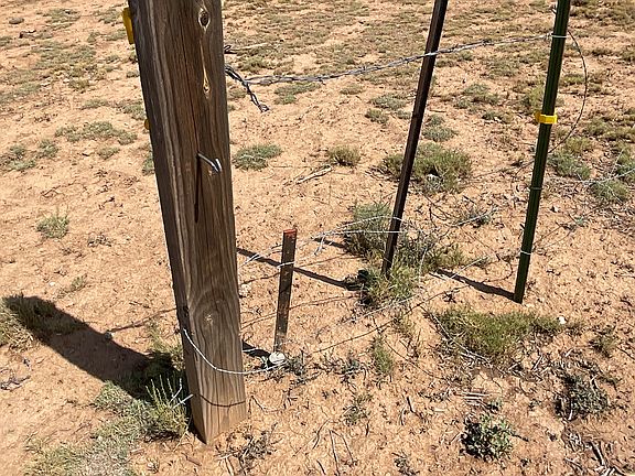 3rd image of 40670 W Scout Trl