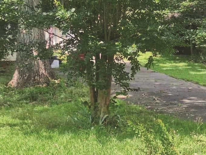 2nd image of 154 Stewart Ave
