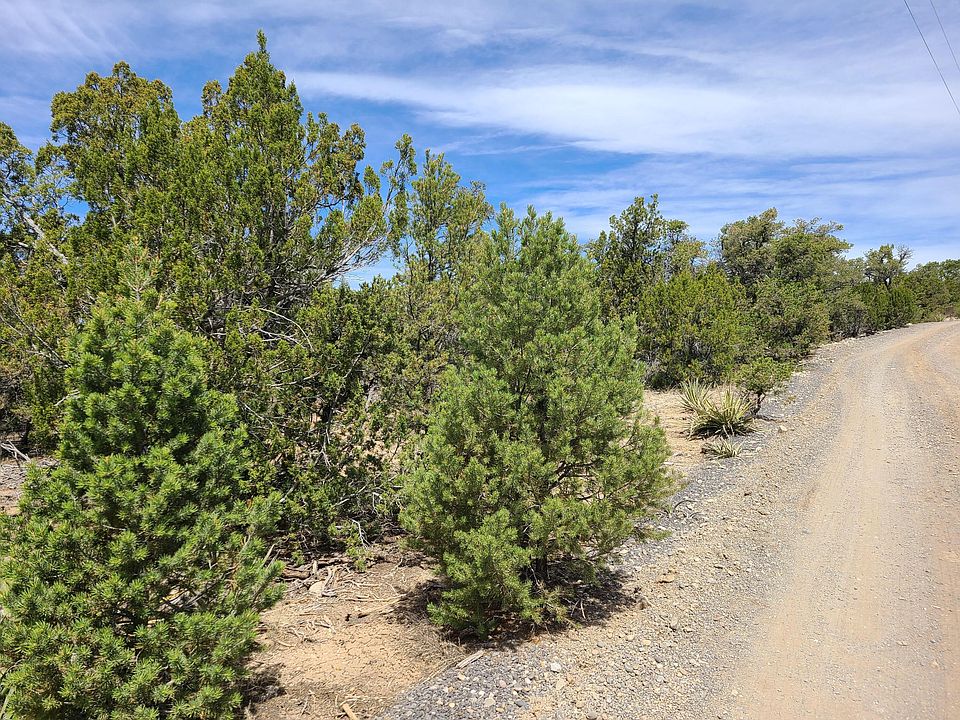 2nd image of LOT Five Mormon Rd #B
