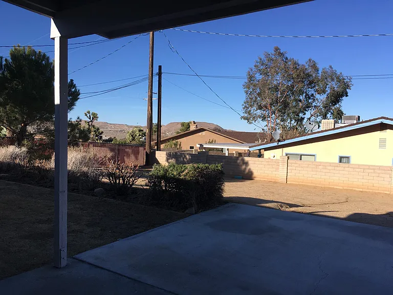 Back Yard