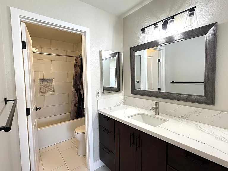 Primary vanity with tub/shower in seperate room