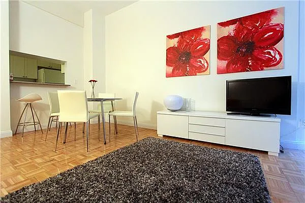 Rented by Platinvm Property Group New York | media 8