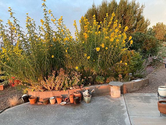 5th image of 8377 Garden Home Trl