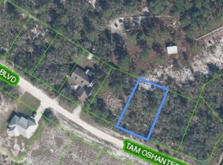 10361 Tam Oshanter Blvd, Sebring, FL 33875