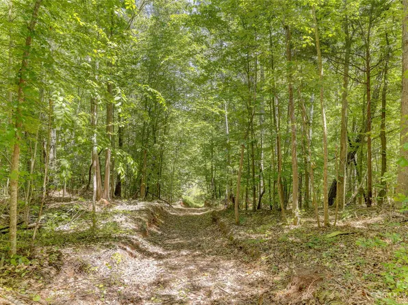 1736 Pinckney Rd, Chester, SC 29706