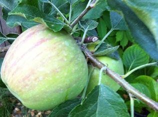 2000 Sillick Ter, Santa Rosa, CA 95404