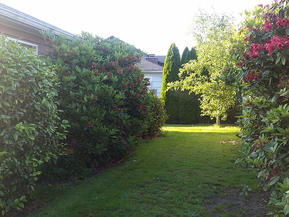 side yard