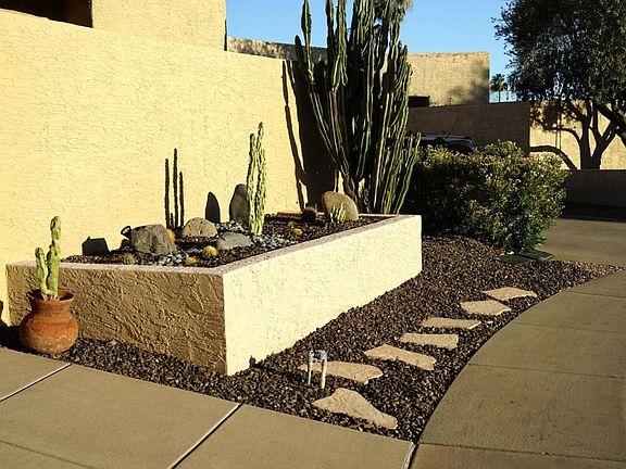 Front Yard