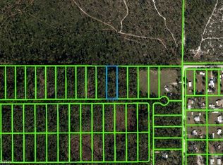 916 Hyacinth Ave, Sebring, FL 33875