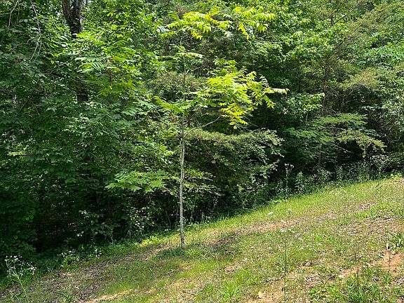 5th image of 7511 Rocky Ledge Rd