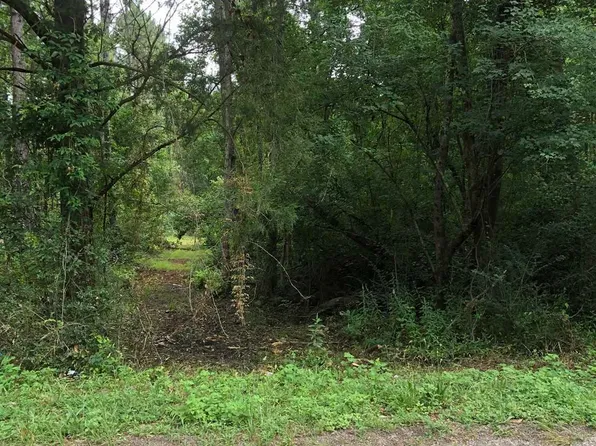 LOT 1 Eden Ln, Cantonment, FL 32533