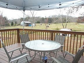 1st image of 6860 Amberfield Ln