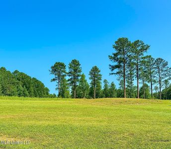 121 Vision Cir, Canton, MS, 39046