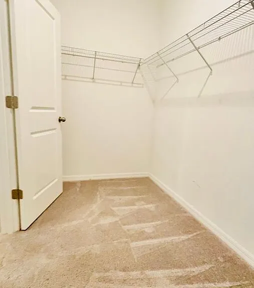 8897 Flourish Dr — Photo 19