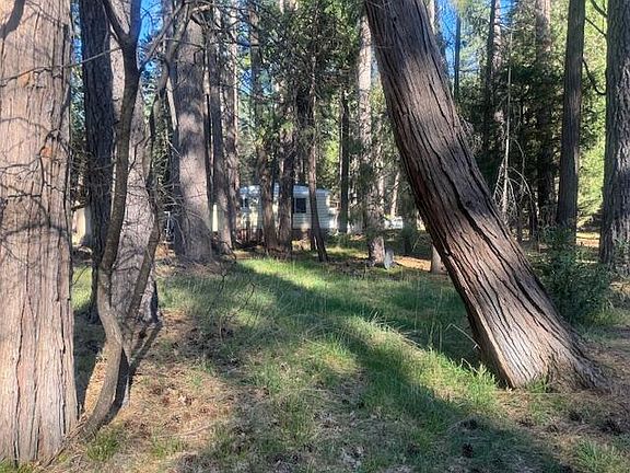 4th image of 30830 Thumper Dr