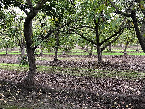 View outside guest room.