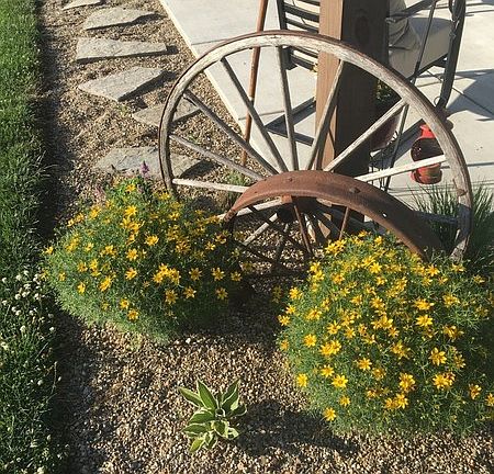 Landscaping
						:
						New landscaping completed around entire garage and house