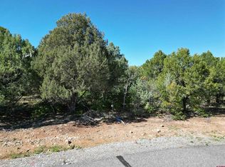 14 Cottontail Ln, Ridgway, CO 81432