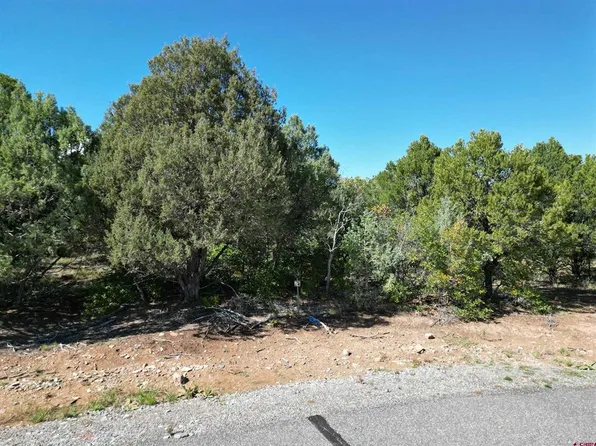 LOT 14 COTTONTAIL Lane, Ridgway, CO 81432