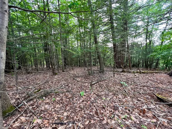 0 George Lamb Rd, Bernardston, MA 01337