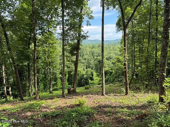 3rd image of Lot 25 Bryson Creek Drive LOT 25