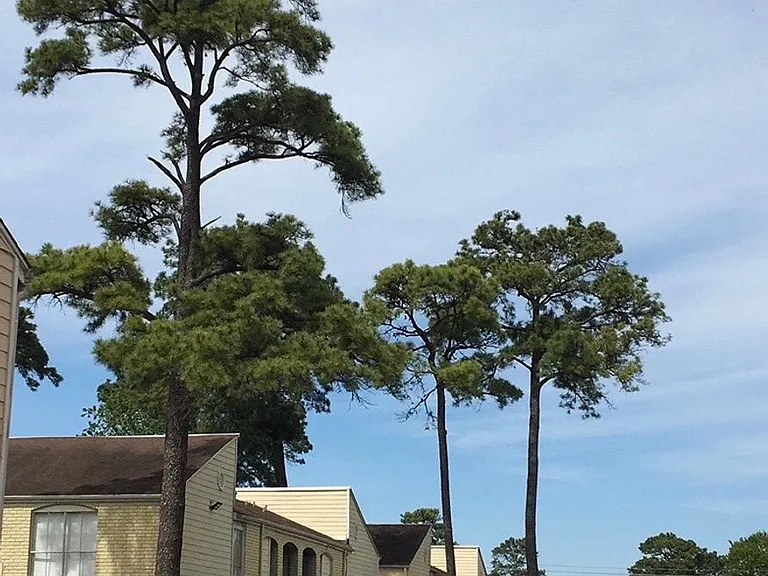 6200 W Tidwell #901 — Photo 11