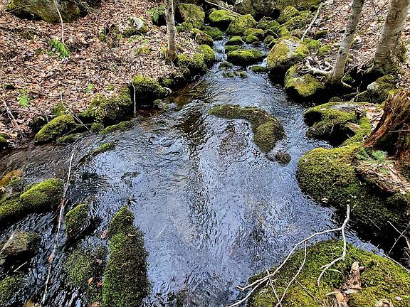 3rd image of Lot 7 Morrison Brook Road