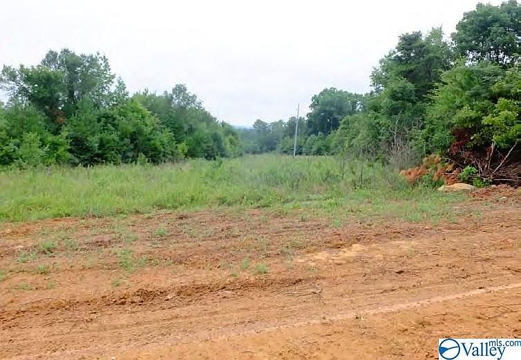 State Highway 68, Collinsville, AL 35961 MLS 1772949 Zillow