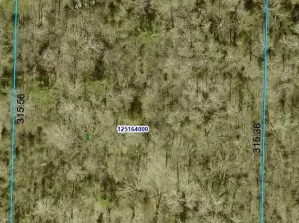 0 Oswald Ln Lot 9, Sandstone, MN 55072